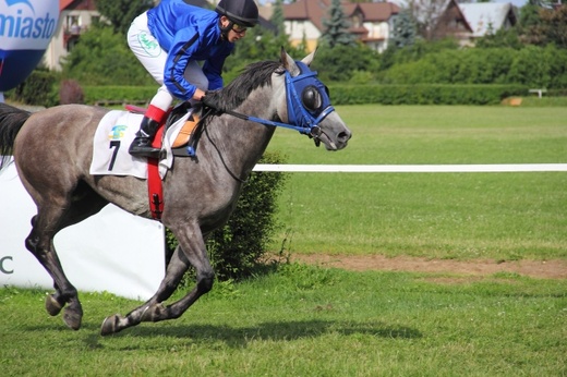 Wyścigi konne 2013