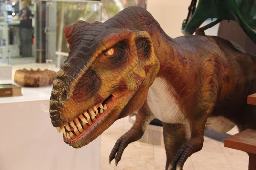 Wystawa "Tropem dinozaurów"